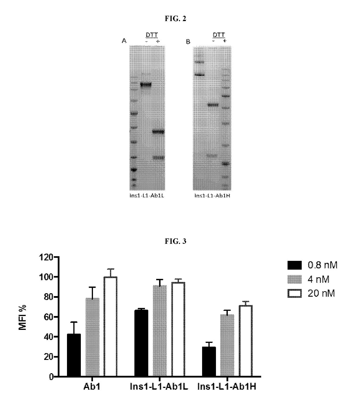 Insulin immunoglobulin fusion proteins