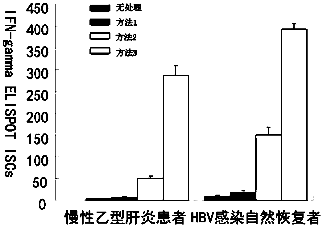 Construction method of hepatitis vaccine sensitization dendritic cell inducing specific T cell