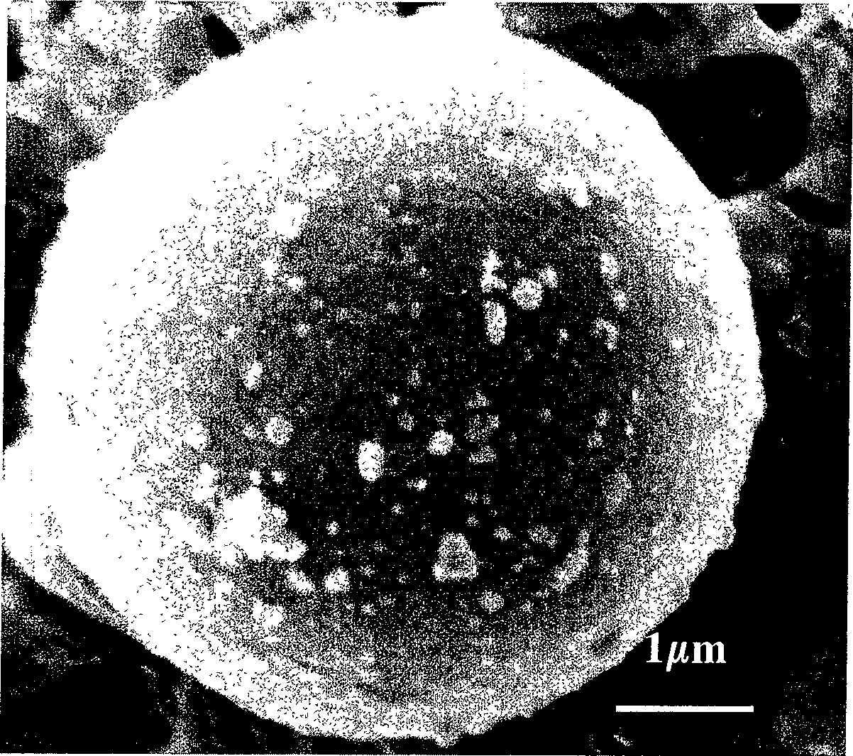 Magnetic nano cell automatic sorting device and uses thereof