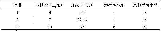 Gomphrena globosa test tube flower and culture method thereof