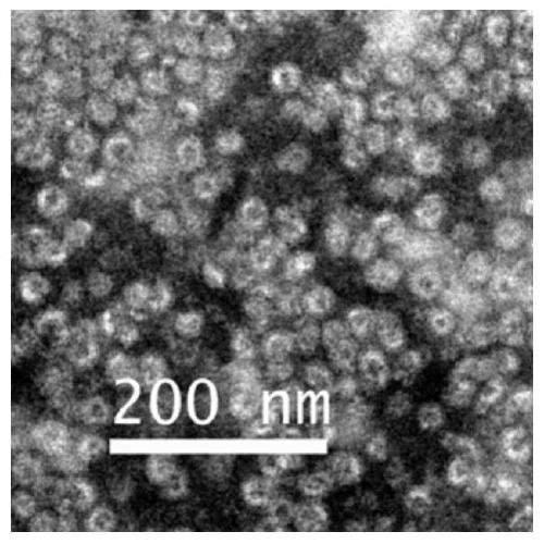 Nanoparticles with Aggregation-Induced Light Absorption Enhancement and Synthesis Method