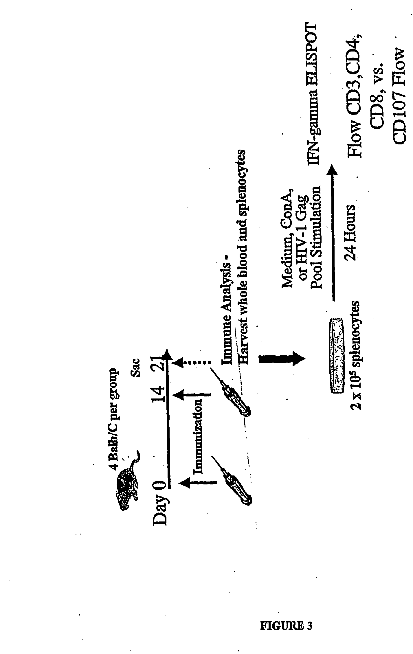 Vaccines and Methods for Using the Same