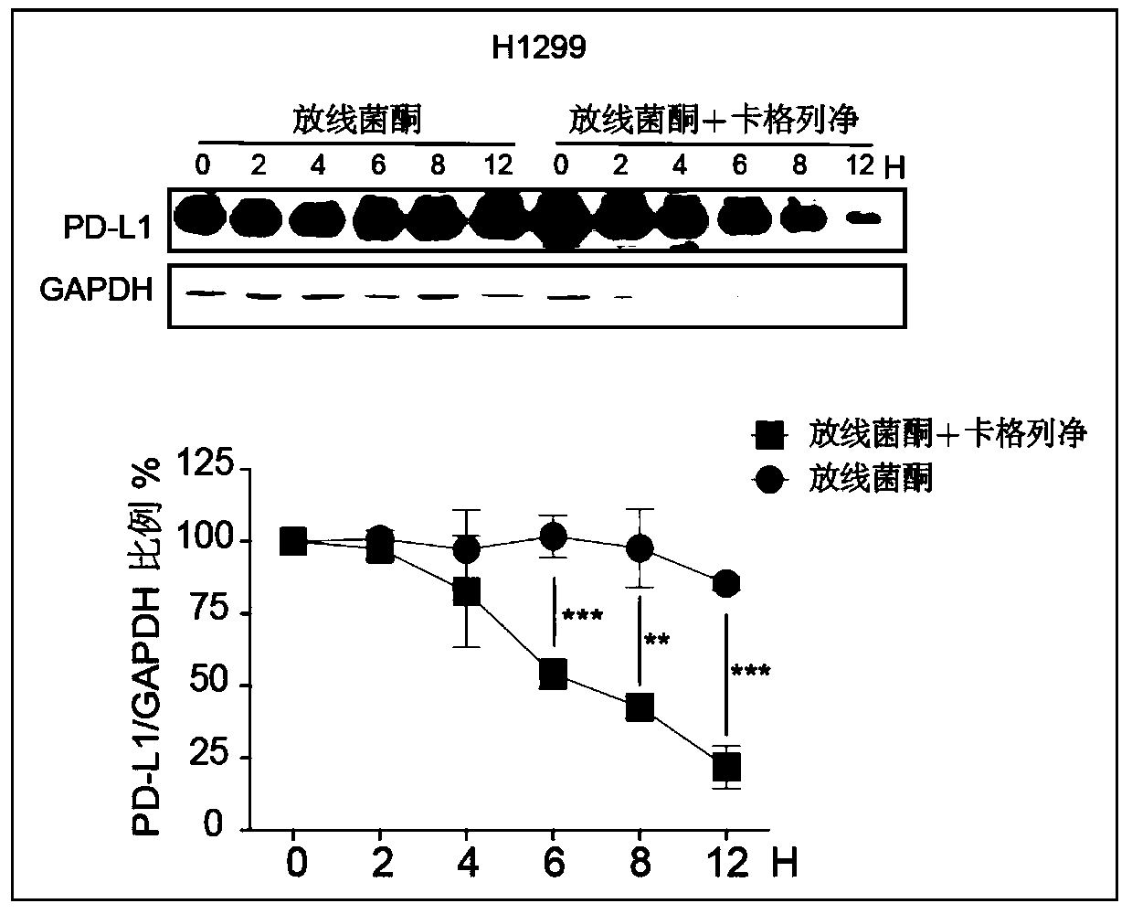 Application of canagliflozin in preparation of anti-tumor medicines