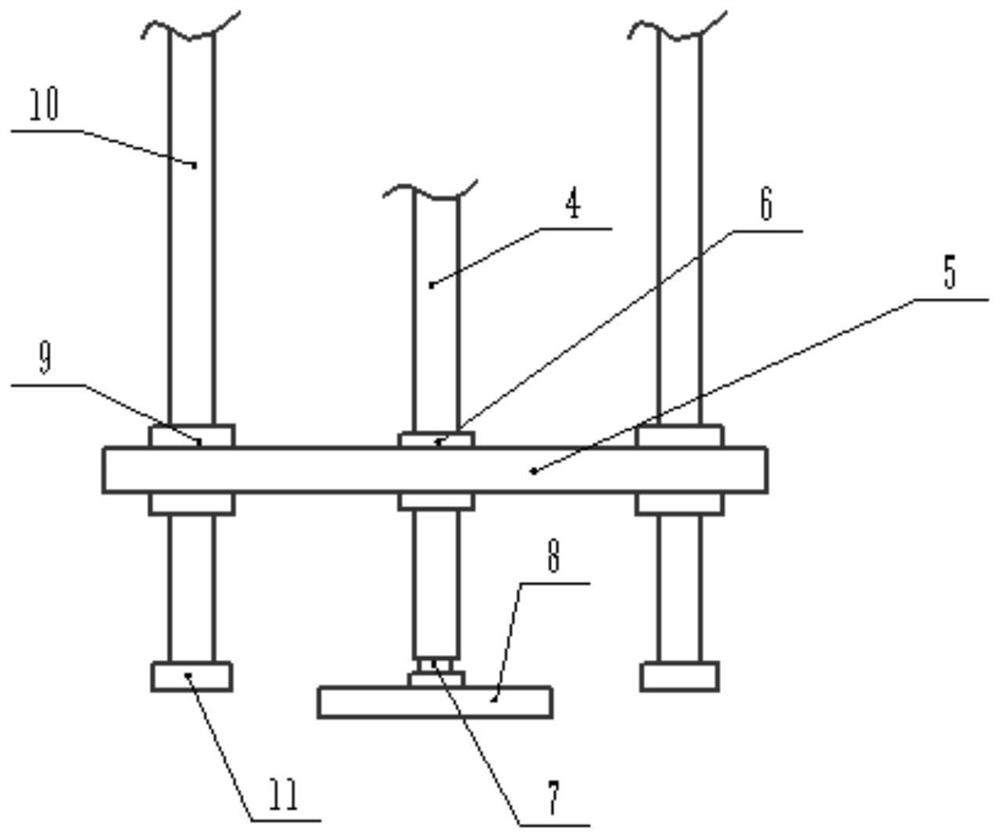 Cold water fish culture pond feeding device