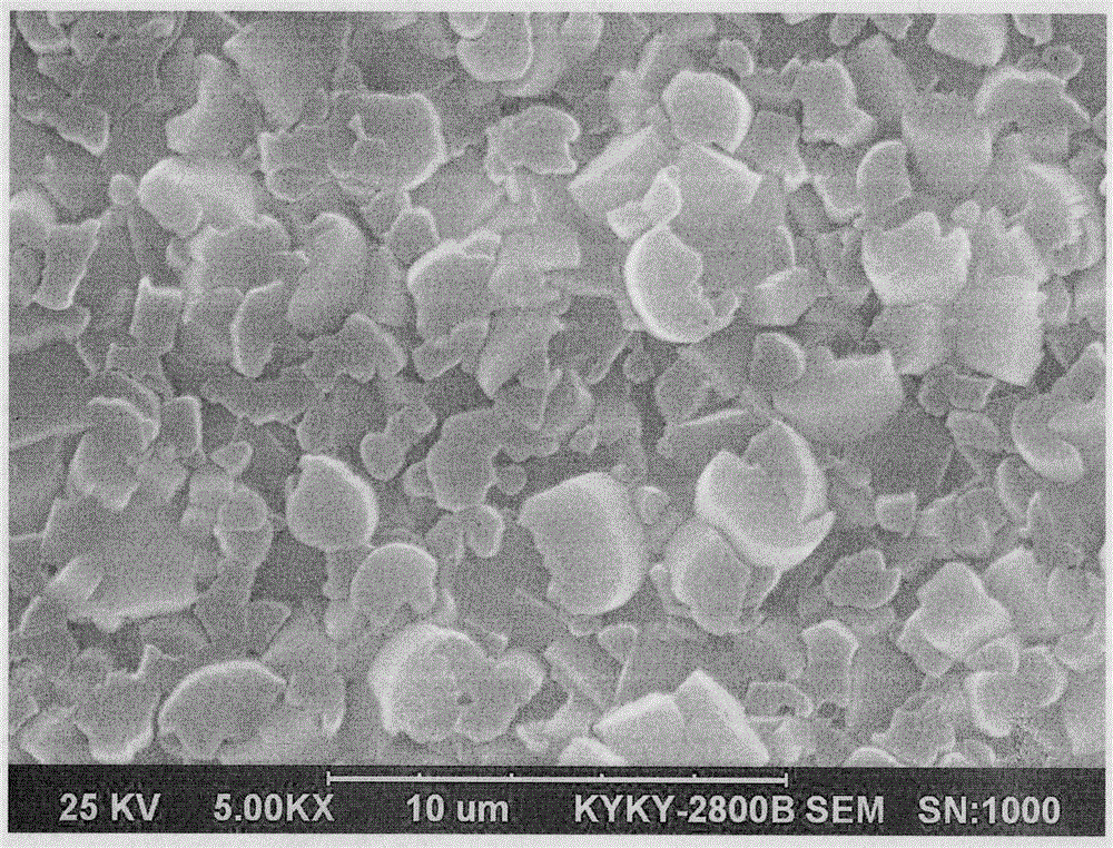 Preparation method of orientation LTL type molecular sieving membrane for gas separation