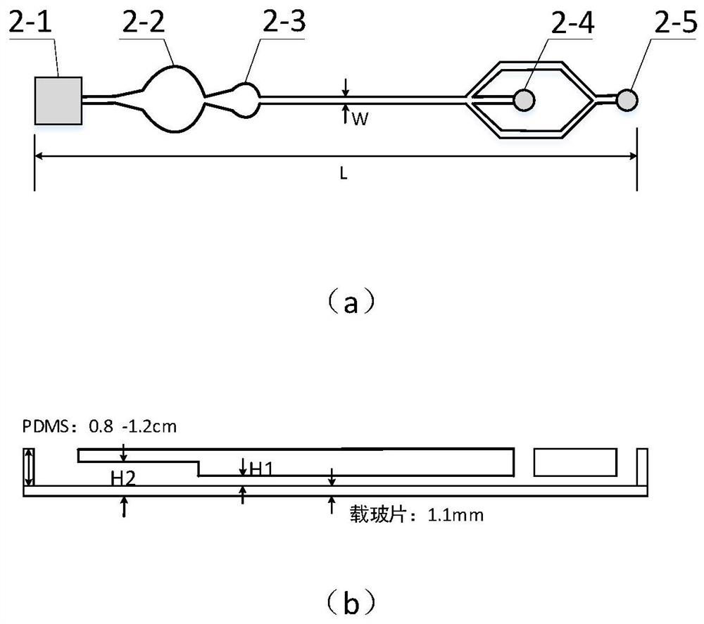 Micro-nano biological particle enrichment and separation device based on acoustophoresis and oscillatory flow effects