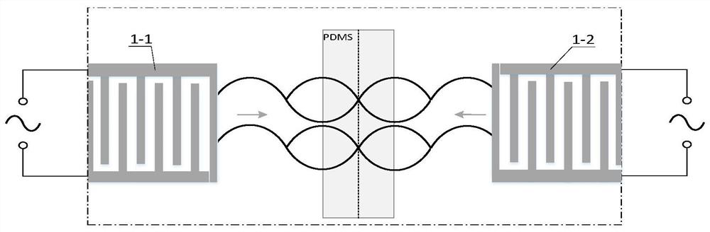 Micro-nano biological particle enrichment and separation device based on acoustophoresis and oscillatory flow effects