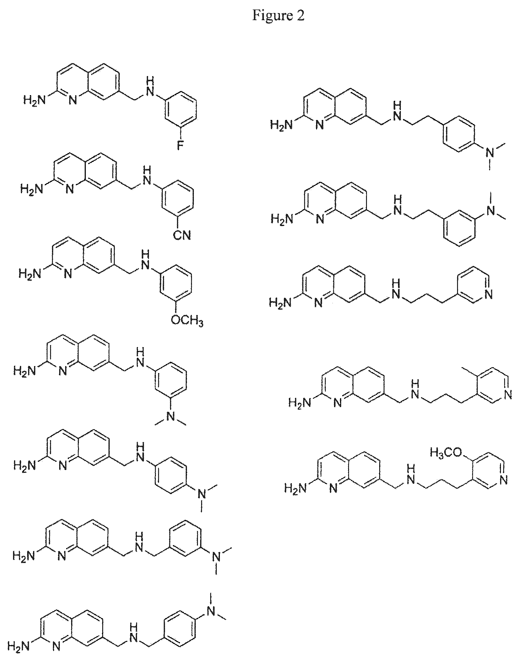 2-aminoquinoline-based compounds for potent and selective neuronal nitric oxide synthase inhibition