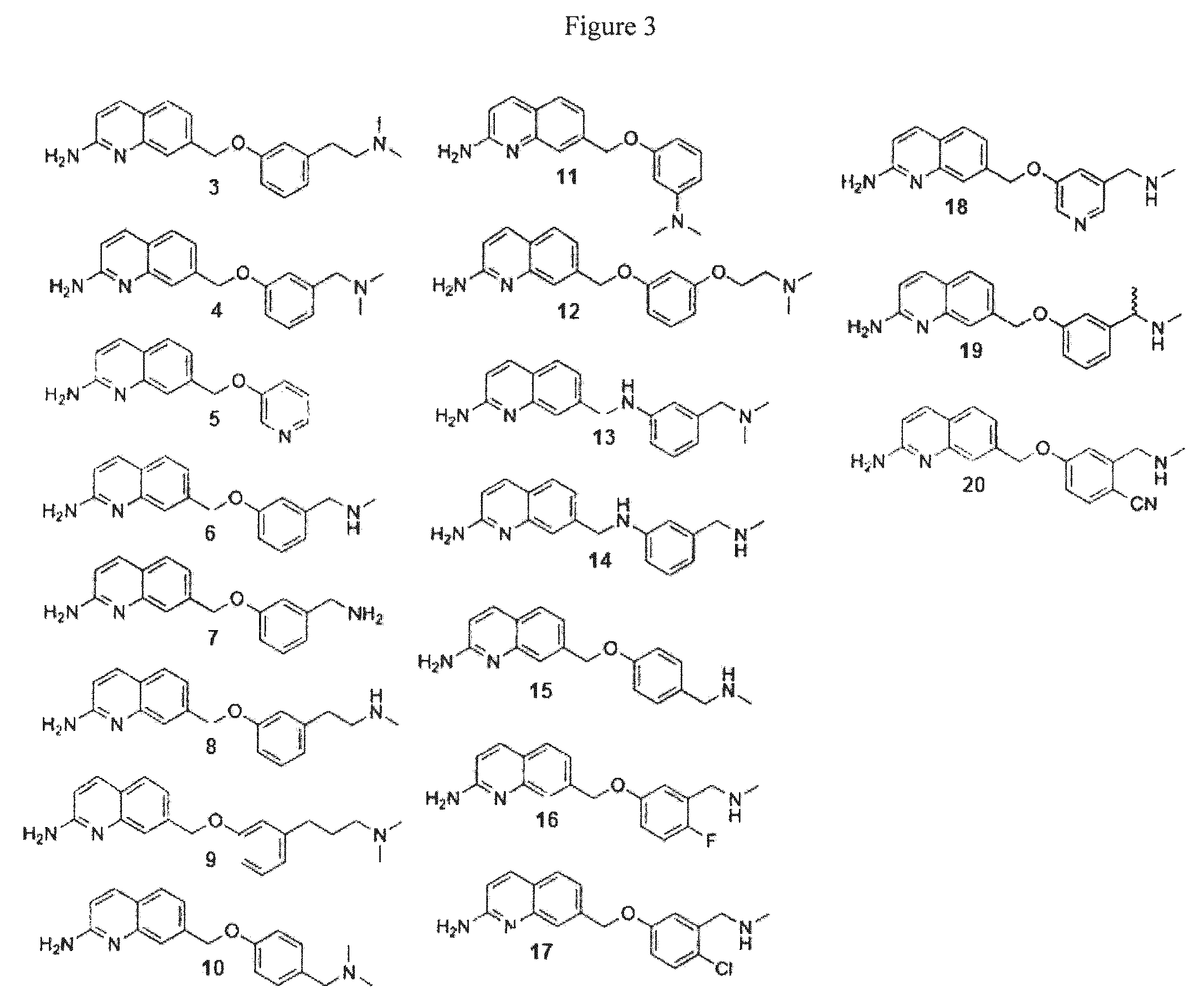 2-aminoquinoline-based compounds for potent and selective neuronal nitric oxide synthase inhibition