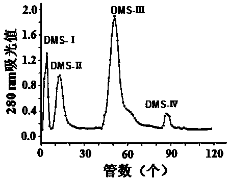 Lipid-decreasing pentapeptide derived from Miichthysmiiuy swimming bladders and application of lipid-decreasing pentapeptide