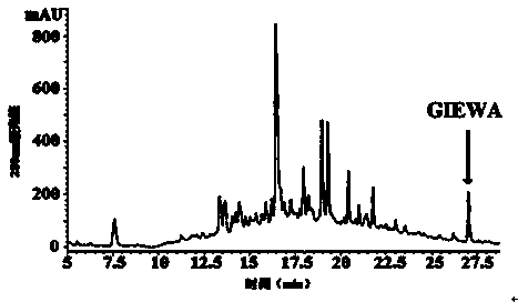 Lipid-decreasing pentapeptide derived from Miichthysmiiuy swimming bladders and application of lipid-decreasing pentapeptide