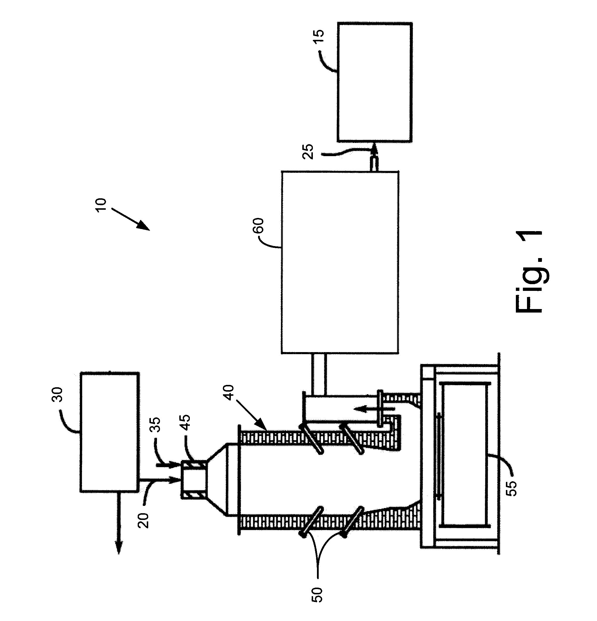 Biomass gasifier with disruption device