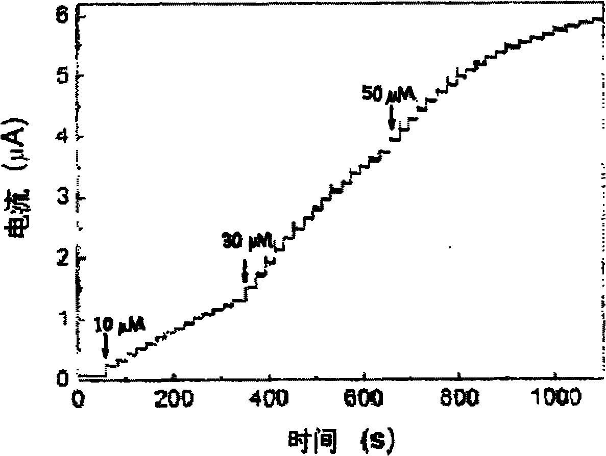 Enzyme electrode and preparation method thereof