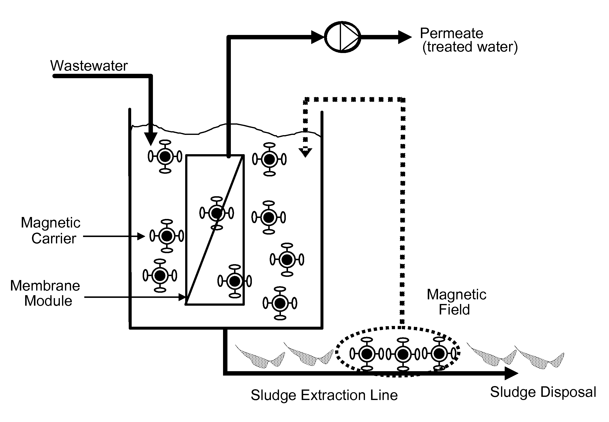 Magnetic carrier and membrane bioreactor comprising enzyme for inhibiting biofilm formation