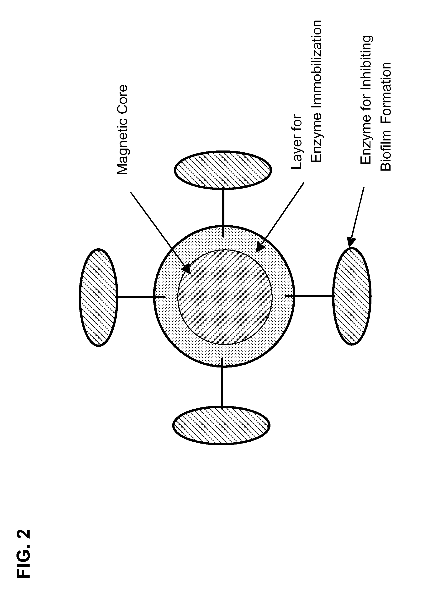 Magnetic carrier and membrane bioreactor comprising enzyme for inhibiting biofilm formation