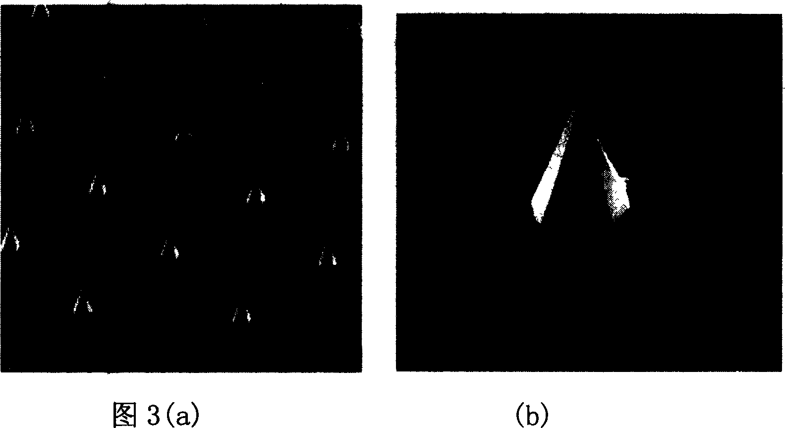 Minisize solid silicon needle array chip and its preparation method and use