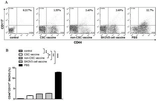 Ovarian cancer stem cell vaccine and preparation method thereof