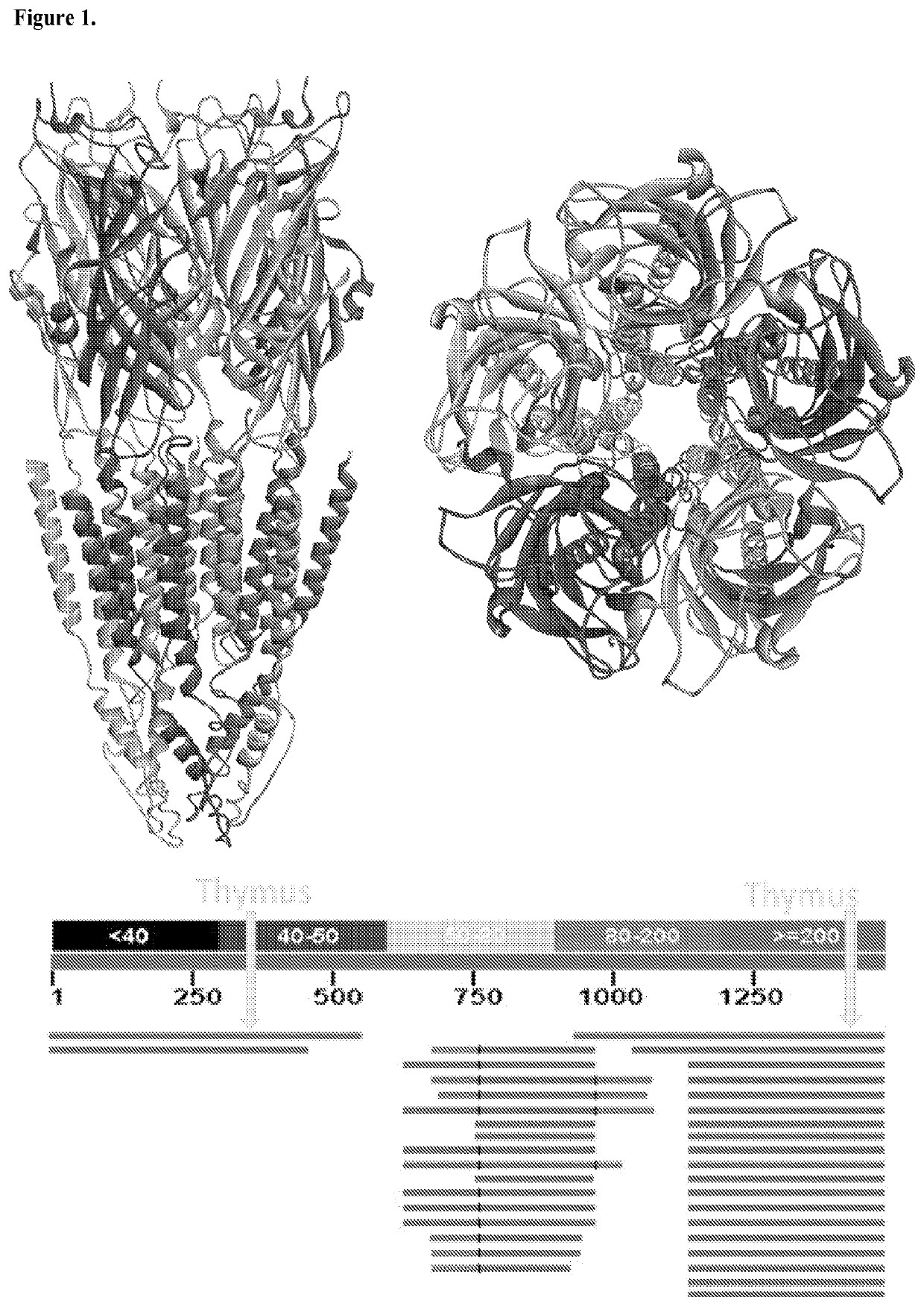 Modulators of zinc activated cation channel