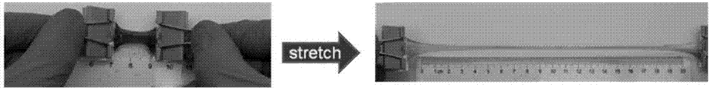 Preparation method of high-tenacity and tear-resistant ternary hydrogel based on synergetic enhancement of one-dimensional and two-dimensional nano-materials