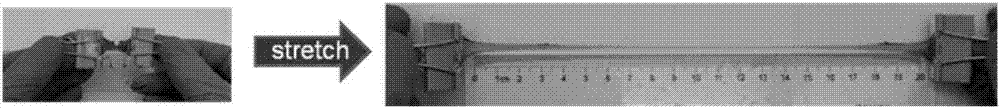 Preparation method of high-tenacity and tear-resistant ternary hydrogel based on synergetic enhancement of one-dimensional and two-dimensional nano-materials