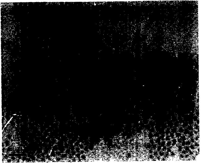 Method for preparing nano-crystal with core-shell structure