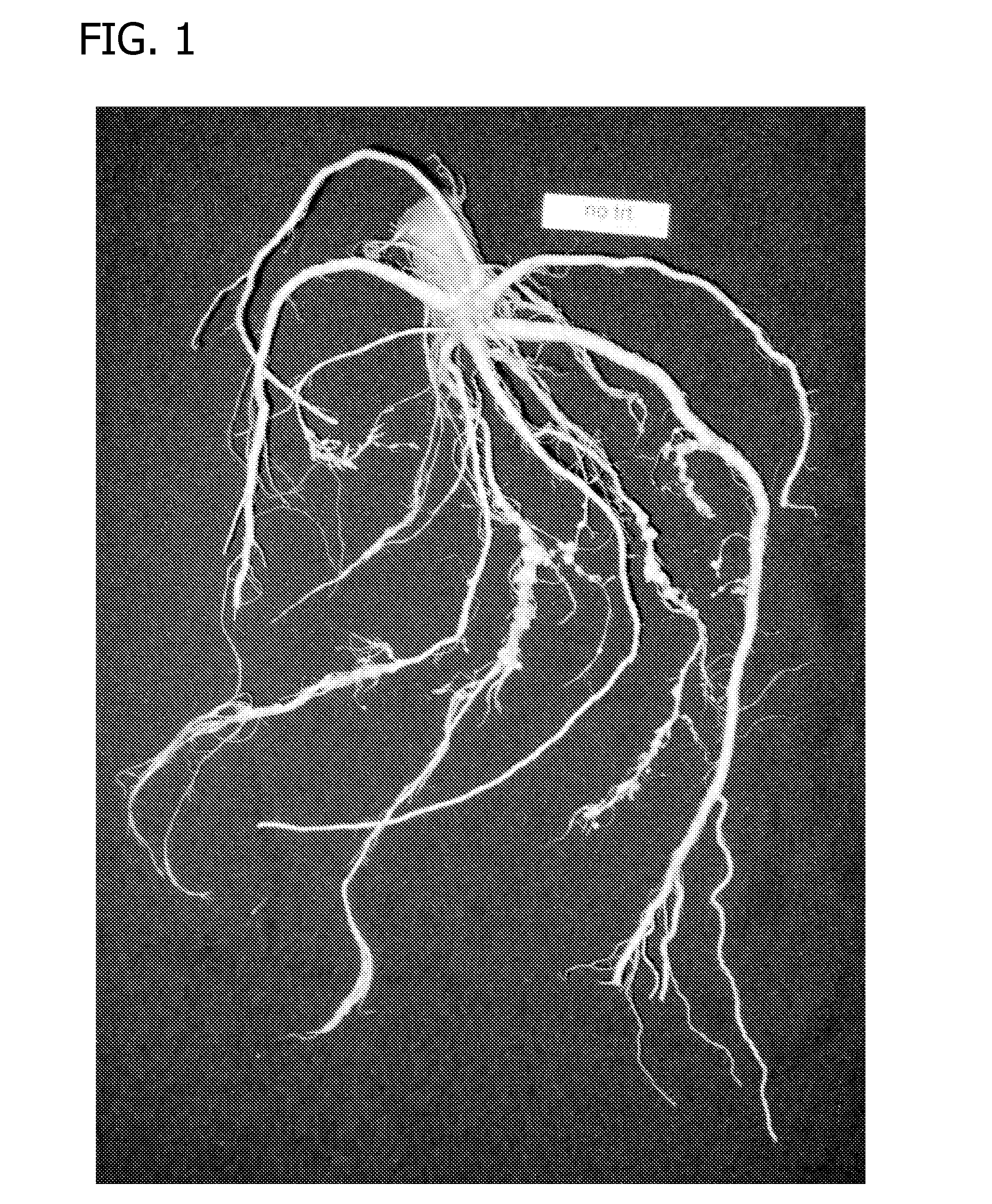 Compositions and methods for controlling nematodes