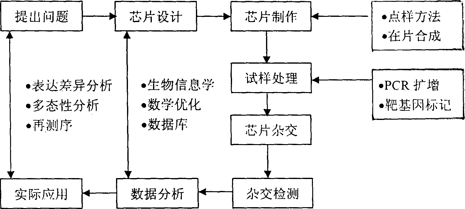 Detection type gene chip for detecting various peptitis