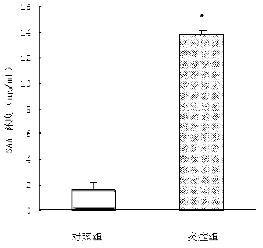 Method for building diabetic nephropathy microinflammation mice model