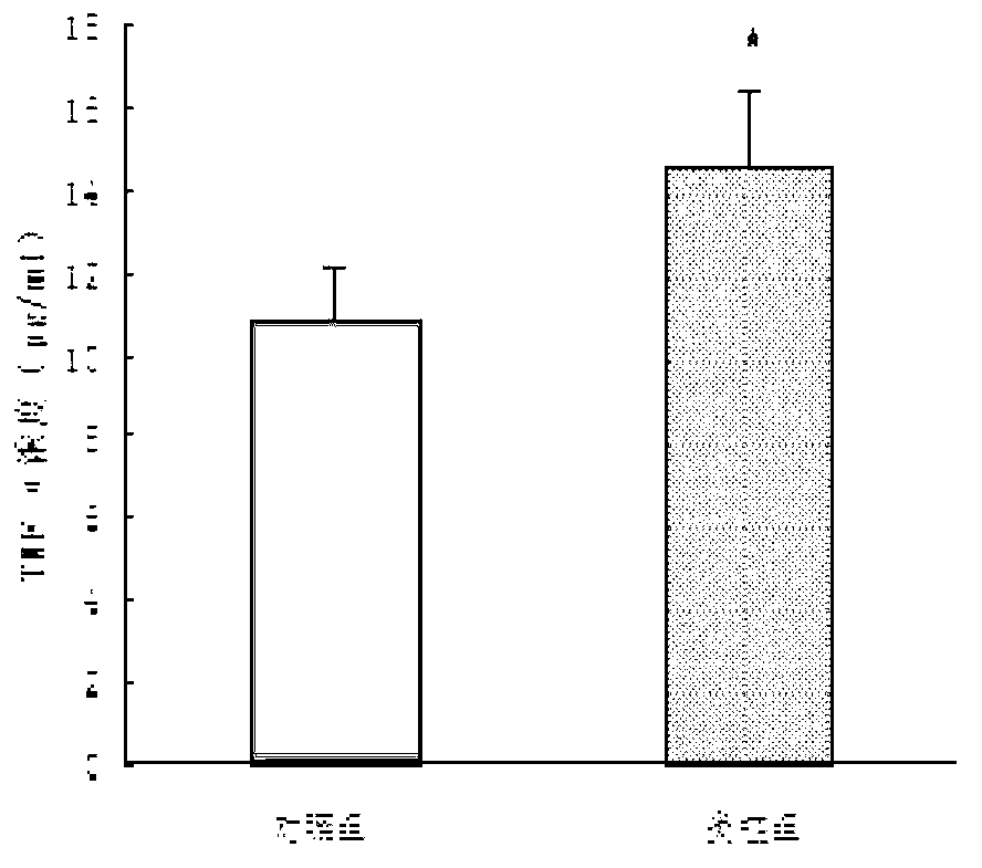 Method for building diabetic nephropathy microinflammation mice model