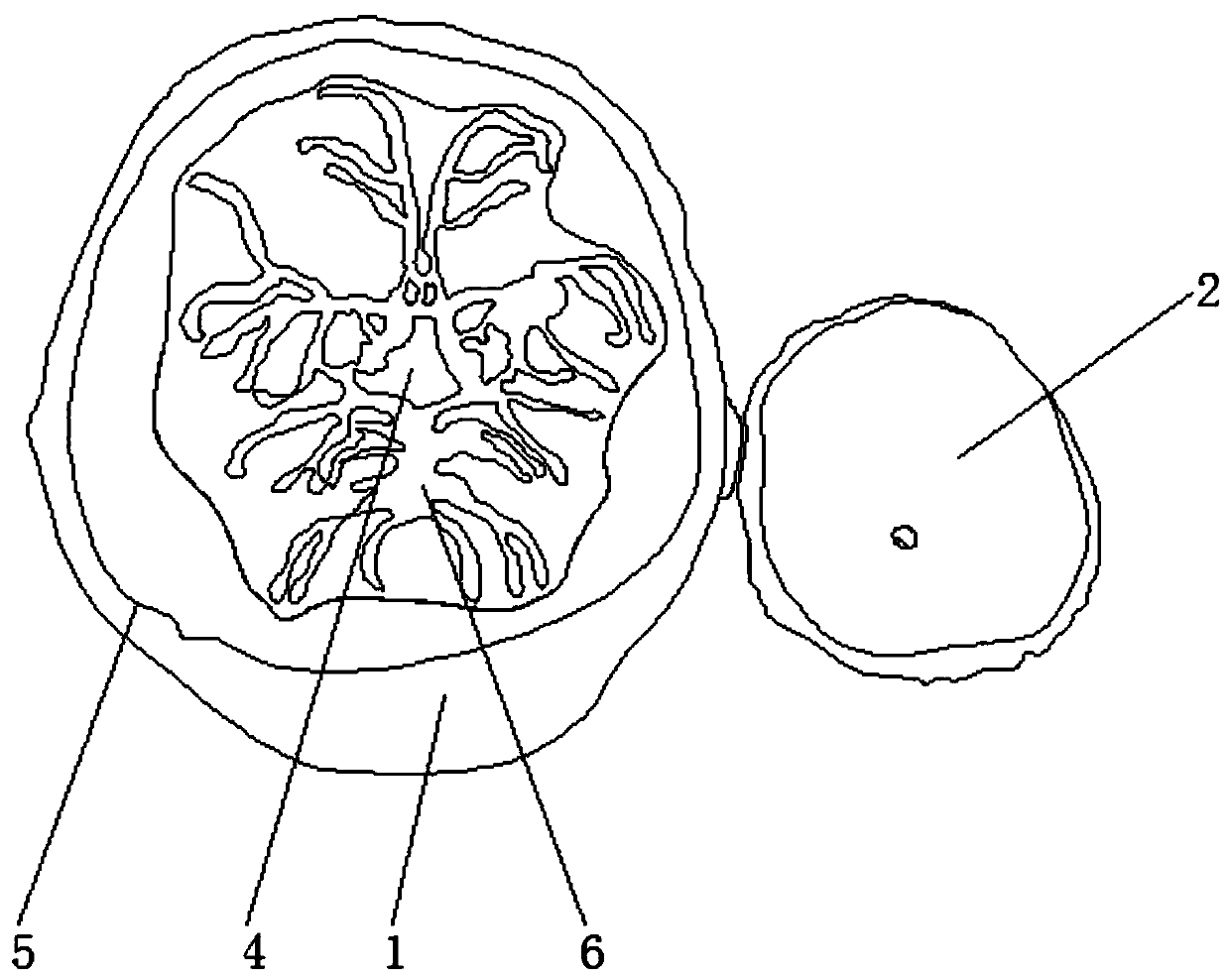 Craniocerebral operation training simulation model