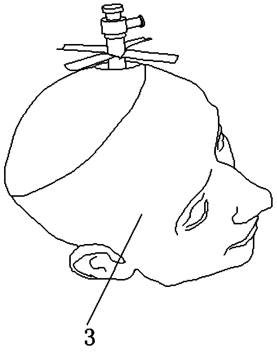 Craniocerebral operation training simulation model