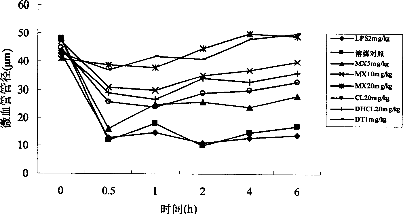 Aucklandia root oil containing emulsion, its preparation process and use