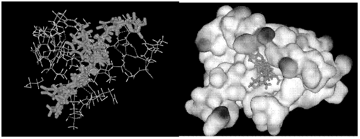 Application of compound in preparing anti-mammary cancer medicament aiming at CCL (CC chemokine ligand) 18 target