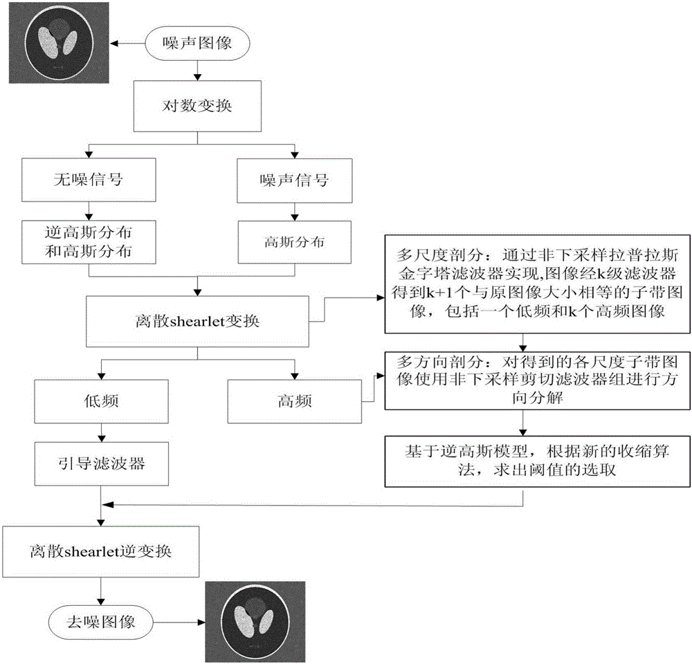 Translation invariance shearler transformation medical image denoising method