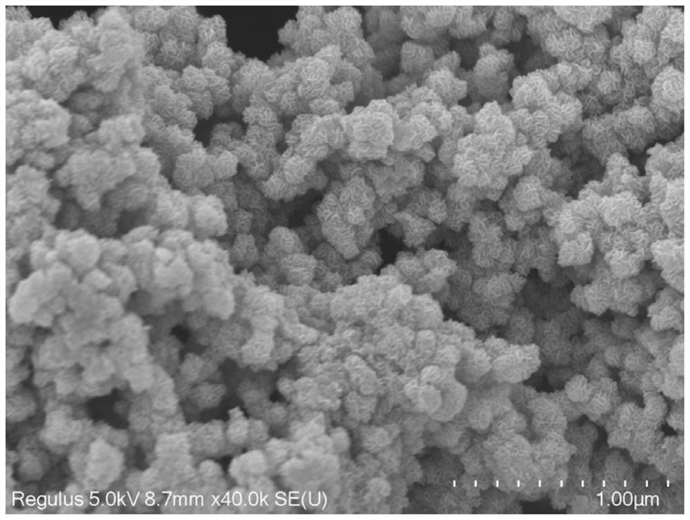 Iron-doped molybdenum diselenide nano material with hollow structure as well as preparation method and electro-catalytic nitrogen reduction application thereof