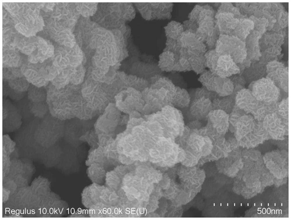 Iron-doped molybdenum diselenide nano material with hollow structure as well as preparation method and electro-catalytic nitrogen reduction application thereof