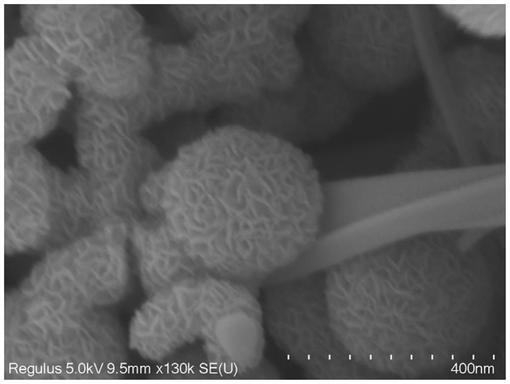 Iron-doped molybdenum diselenide nano material with hollow structure as well as preparation method and electro-catalytic nitrogen reduction application thereof