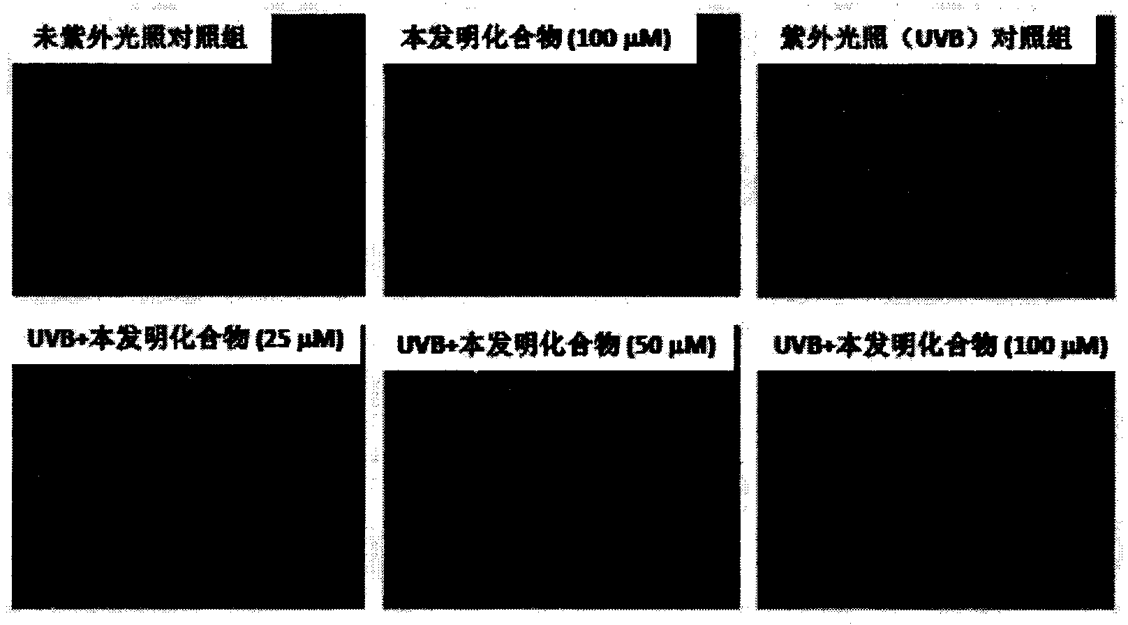 Aromatic thiazole compounds, analogues thereof, uses thereof and preparation methods thereof