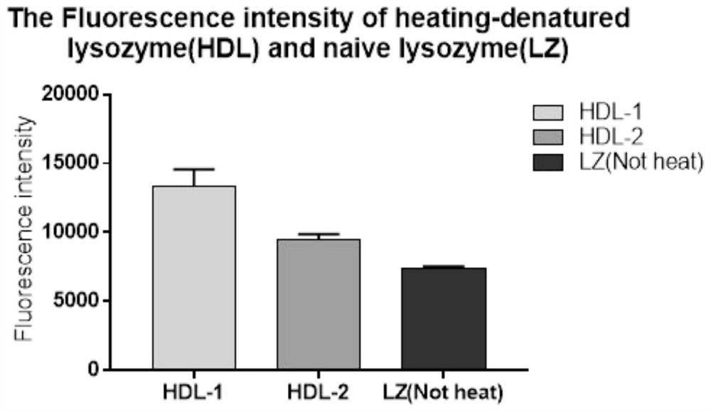 Preparation method and application of thermal denaturation lysozyme with anti-influenza A virus activity