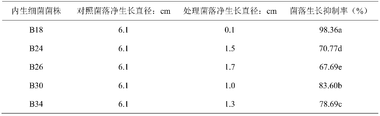 Preparation and application of a methylotrophic bacillus b18 and its liquid preparation