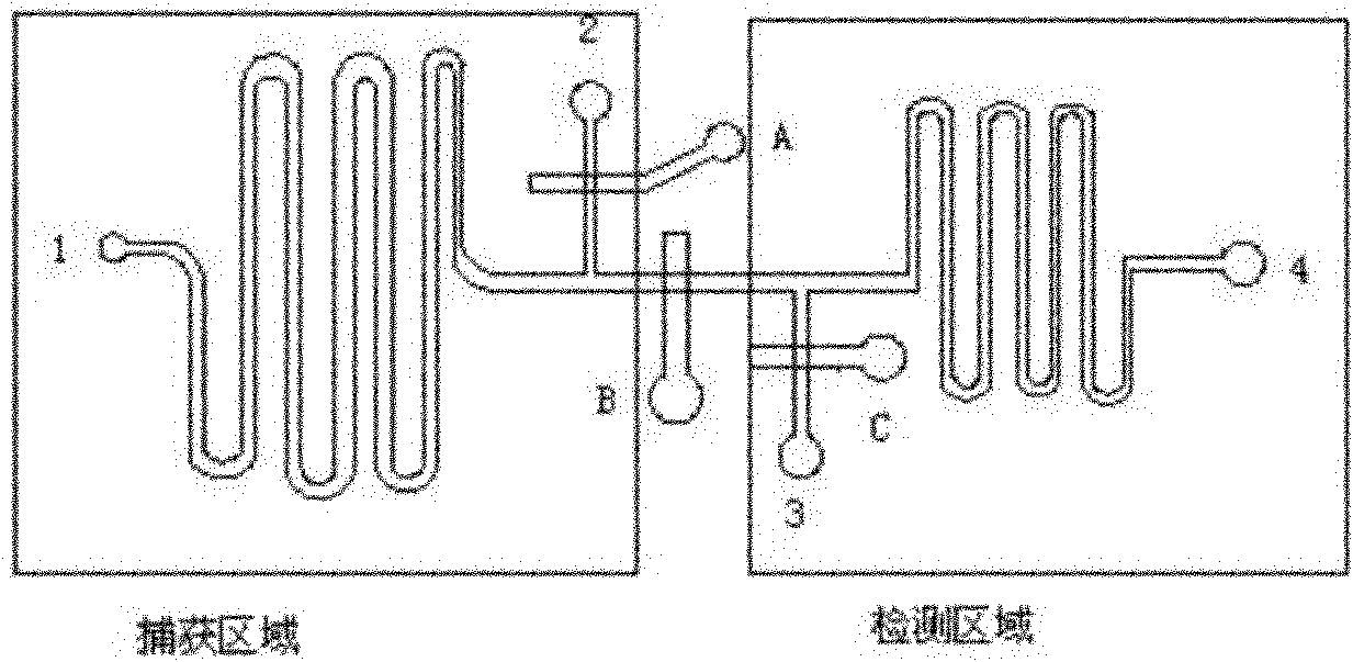 Nano probe based method for detecting trace proteins by using microfluidic chip