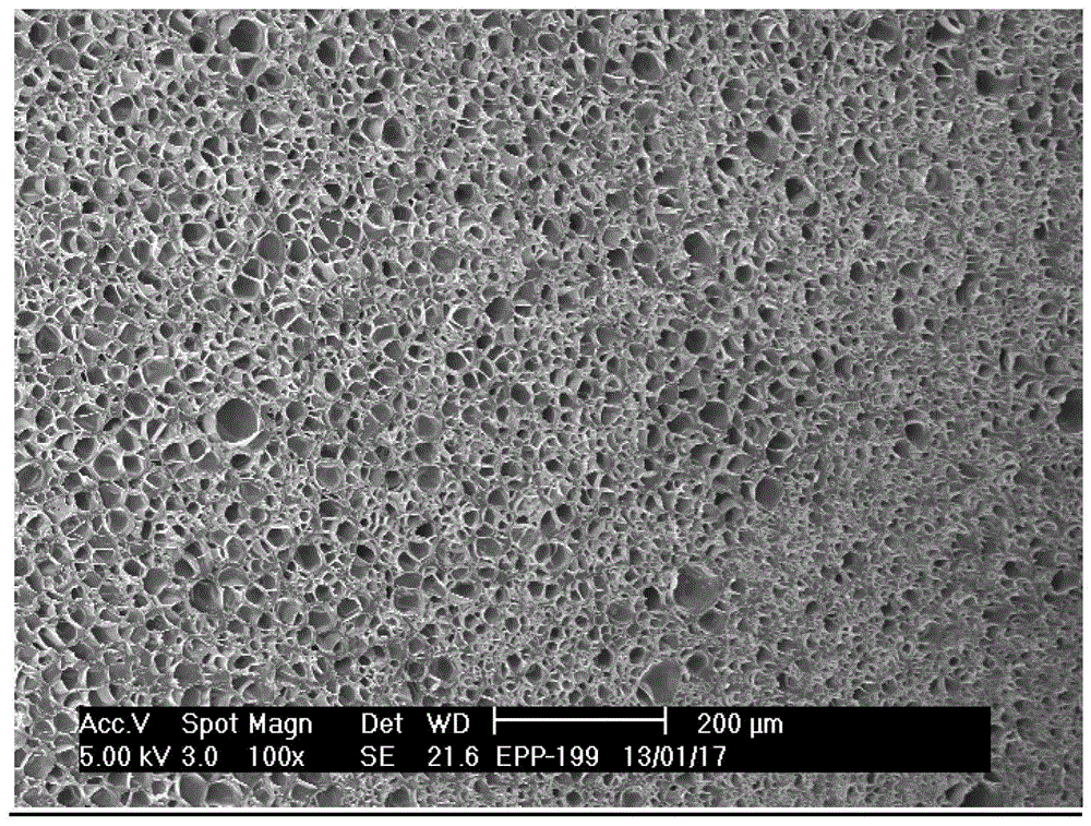 A kind of preparation method of polypropylene expanded beads