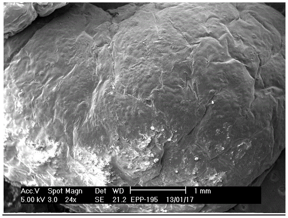 A kind of preparation method of polypropylene expanded beads