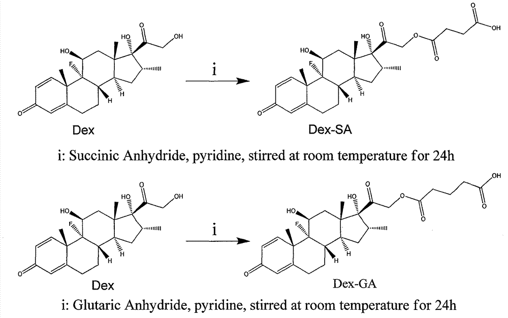 Dexamethasone small-molecular hydrogel drug delivery system and preparation method thereof