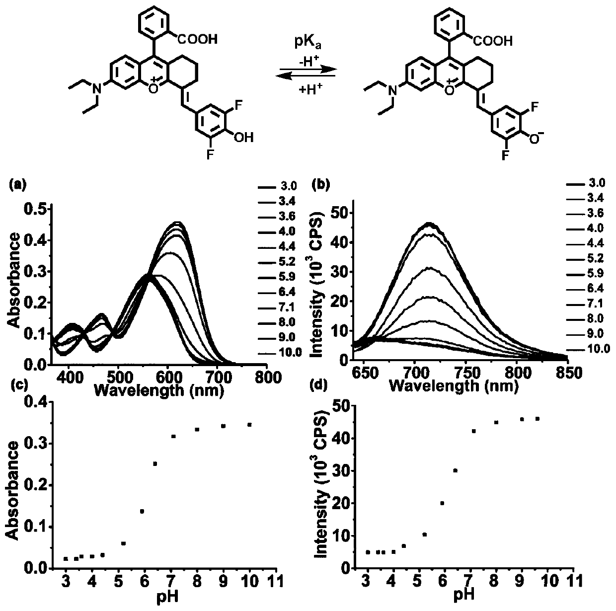 Rhodol derivative dye and application thereof