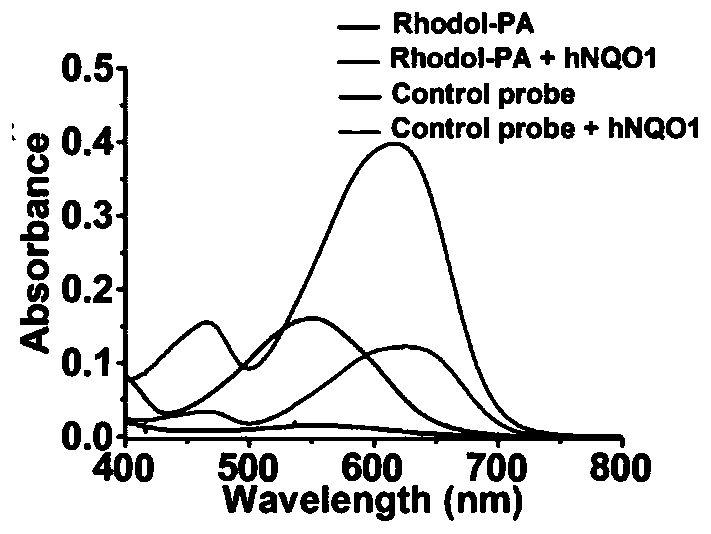 Rhodol derivative dye and application thereof