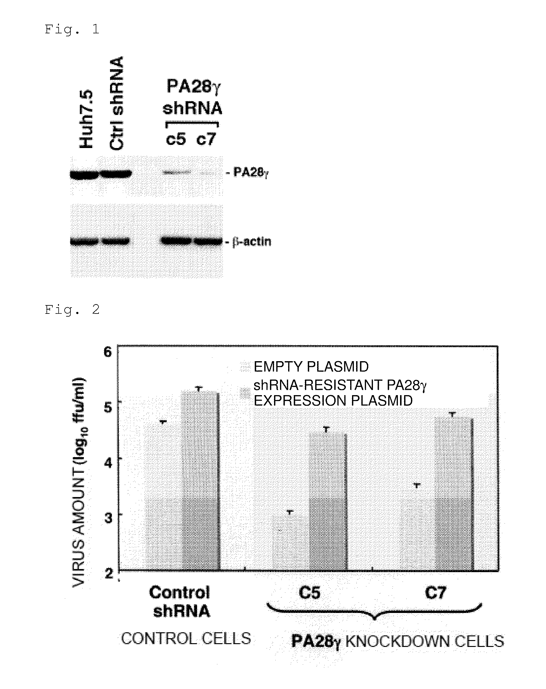 Anti-hepatitis c virus composition