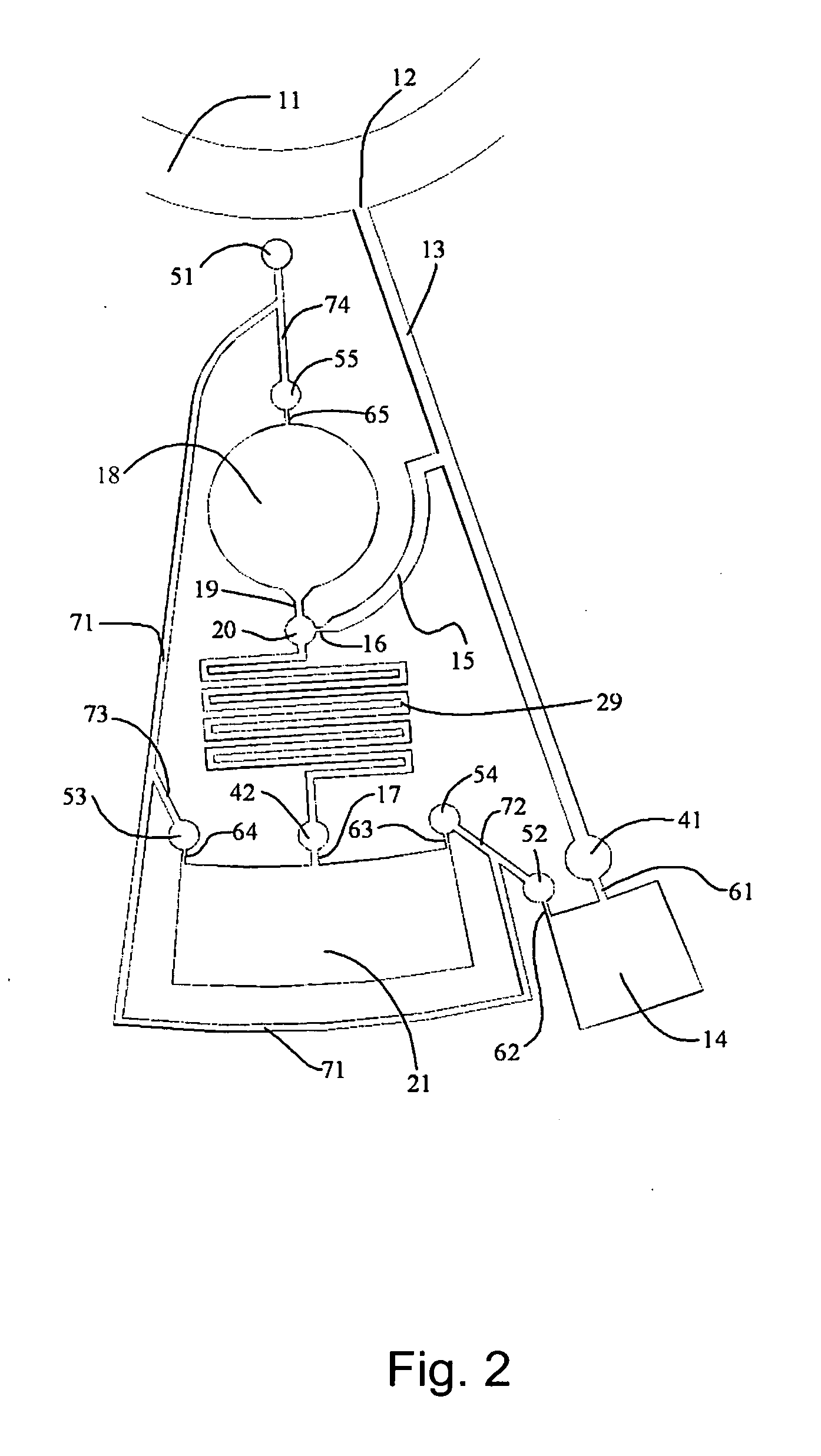 Centrifugal fluid analyzer rotor