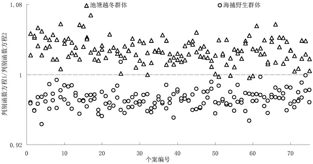 Optimum selection method of wild parent of autumn shrimp of Marsupenaeus japonicus and fundamental group morphological model obtaining method