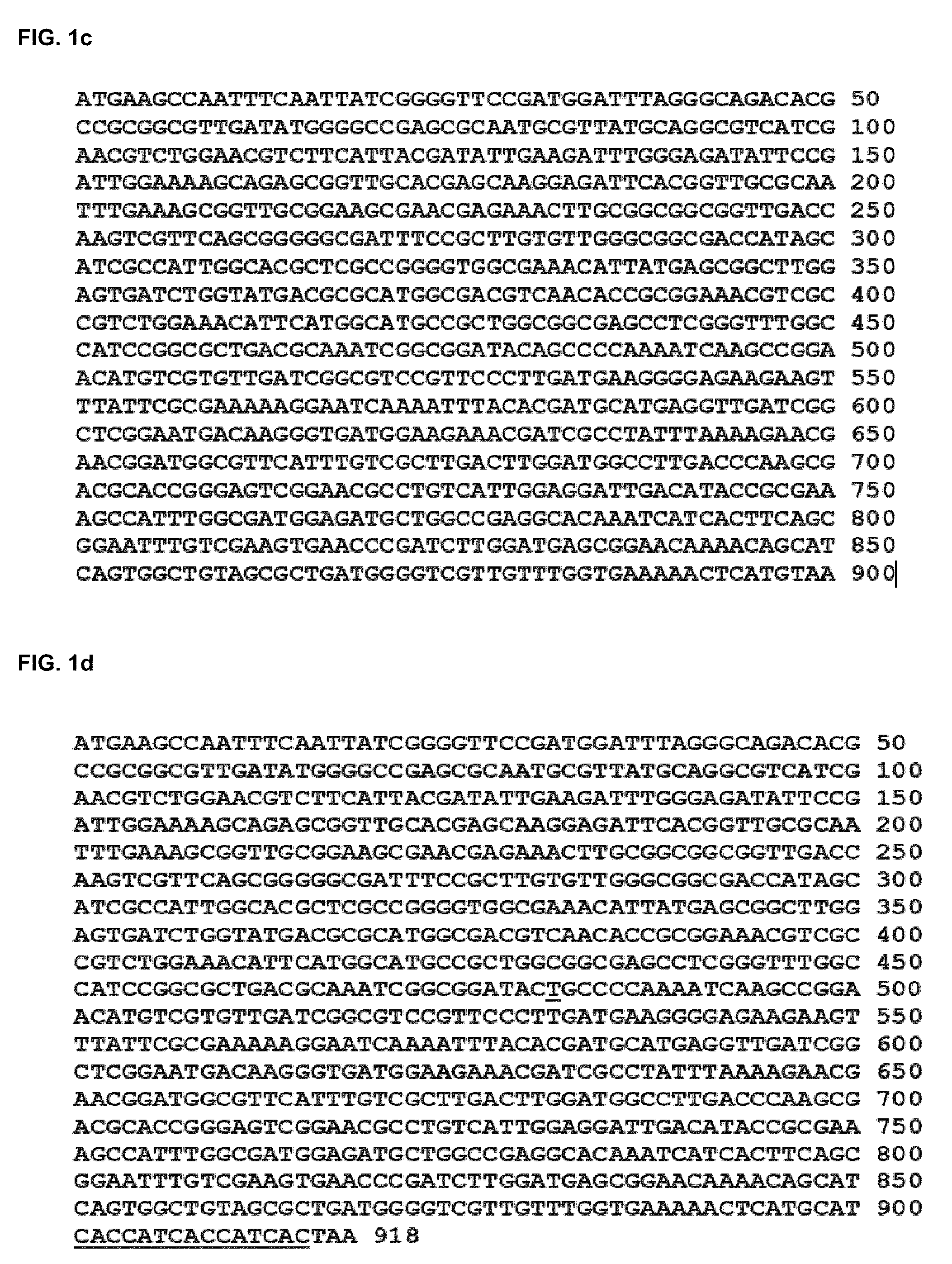 Site-directed pegylation of arginases and the use thereof as Anti-cancer and Anti-viral agents